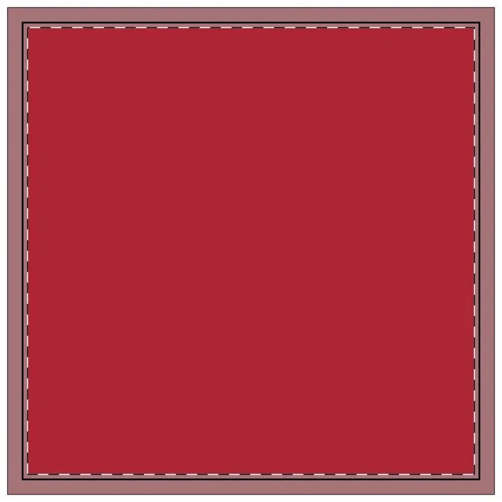 NWT Porter Anna- Red & Black Cotton Napkin 8-set, Poppy